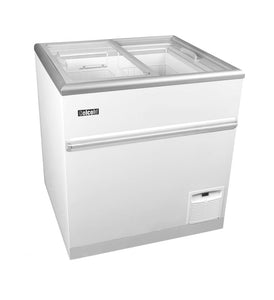 CF30ESG | 164L Commercial Ice-Cream Cabinet Freezer